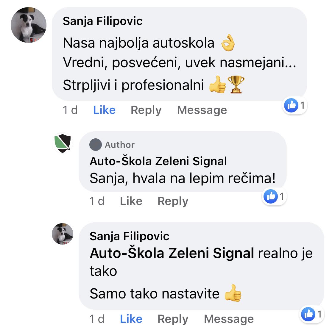 Recenzija kandidata auto-škole Zeleni Signal Kragujevac